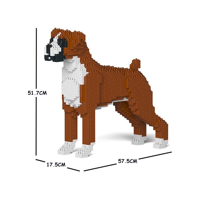 Chien Boxer marron