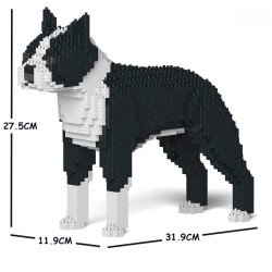 Black Boston Terrier dog