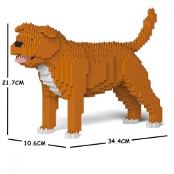 Brown Staffordshire Bull Terrier dog