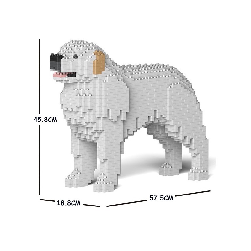 Chien de montagne des Pyrénées