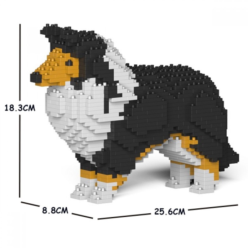 Black Shetland Sheepdog