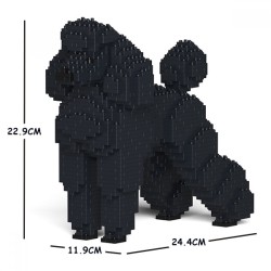 Large Black Poodle Dog