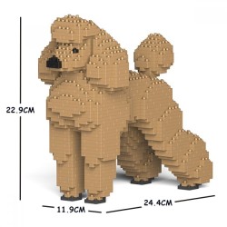 Large beige poodle dog