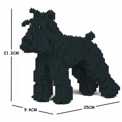 Black Medium Schnauzer dog
