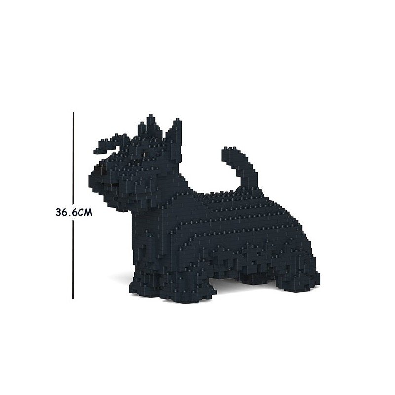 Chien Terrier Ecossais noir