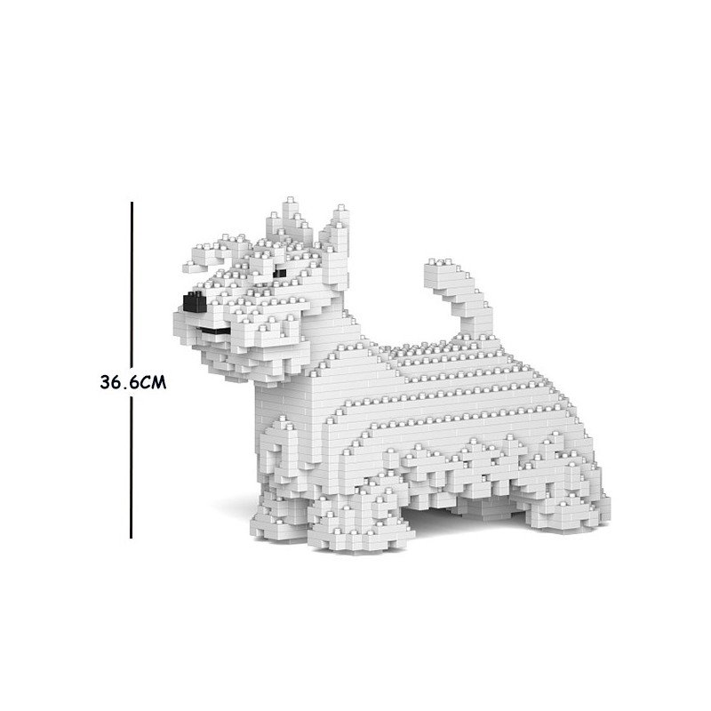 Chien Terrier Ecossais blanc