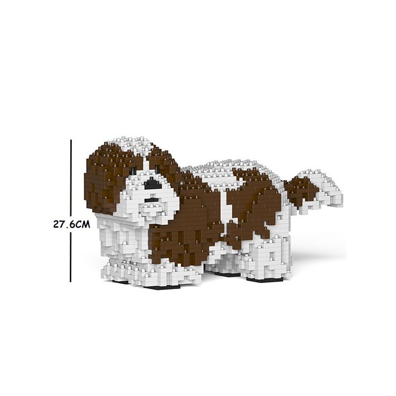 Chien Shih Tzu taches marrons