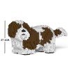Chien Shih Tzu taches marrons