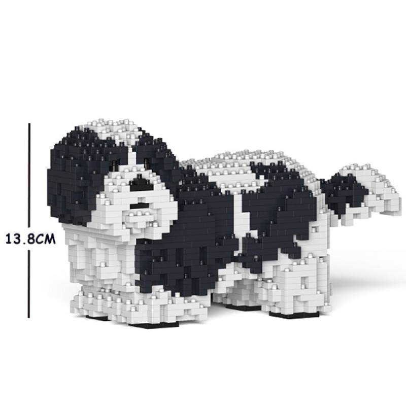 Shih Tzu dog black spots