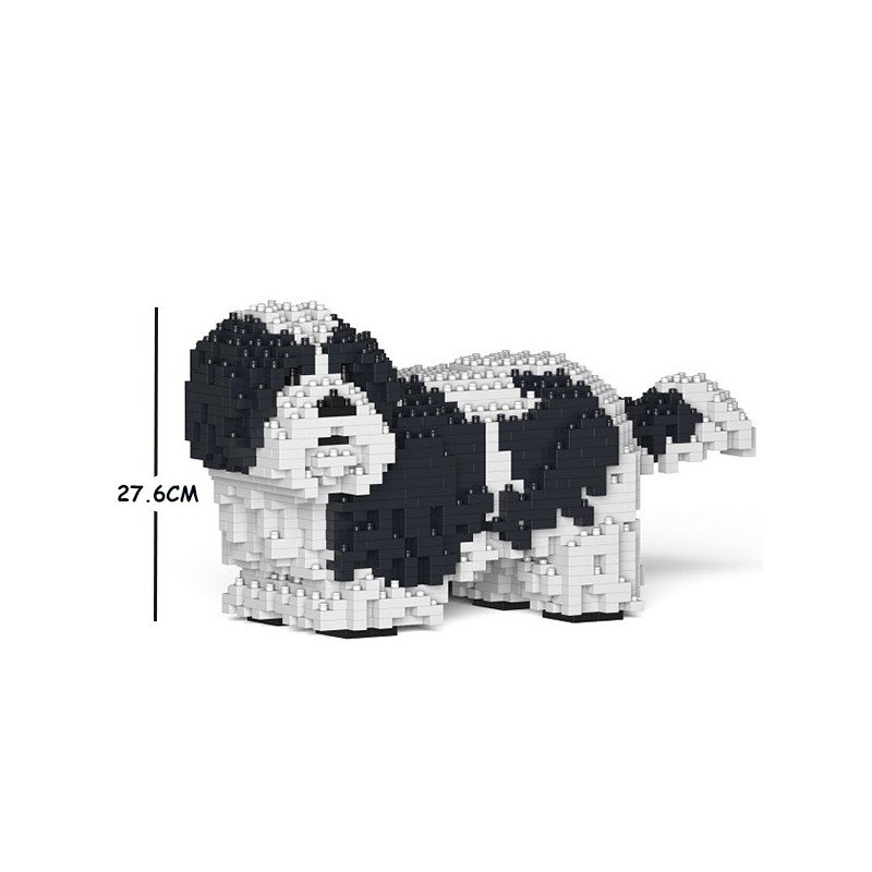 Chien Shih Tzu taches noires