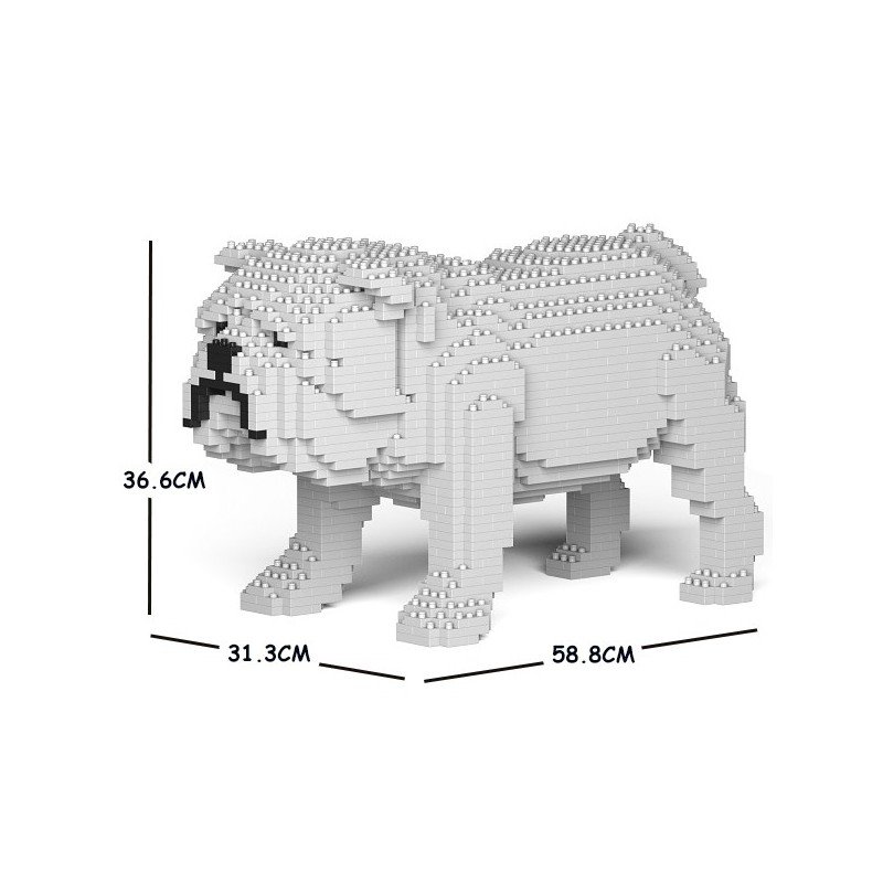 Chien Bulldog Anglais blanc