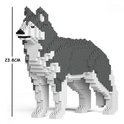 Gray Husky dog