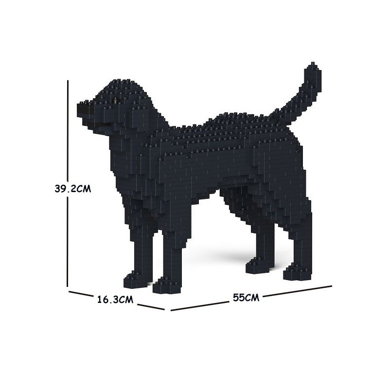 Chien Labrador Retriever noir