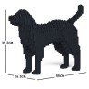 Chien Labrador Retriever noir