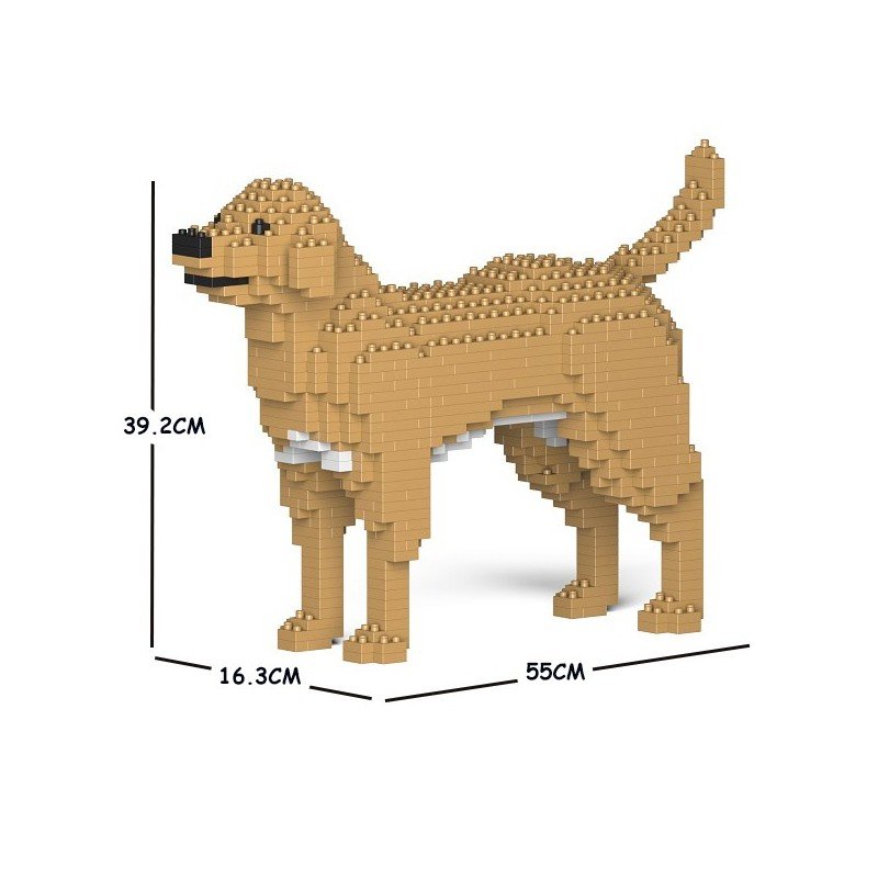 Chien Labrador Retriever beige