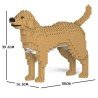 Chien Labrador Retriever beige