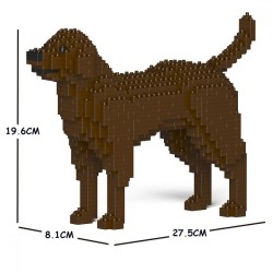 Brown Labrador Retriever dog