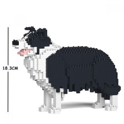 Black Border Collie dog