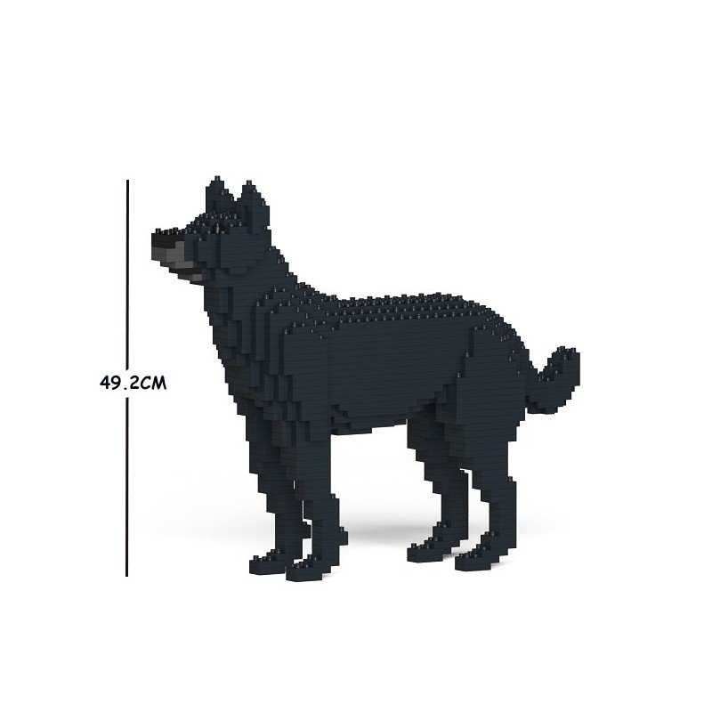 Black mongrel dog