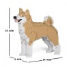 Chien Akita Inu beige