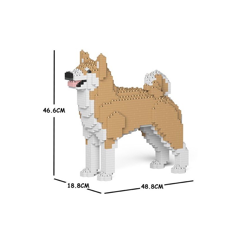 Chien Akita Inu beige