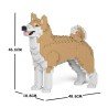 Chien Akita Inu beige