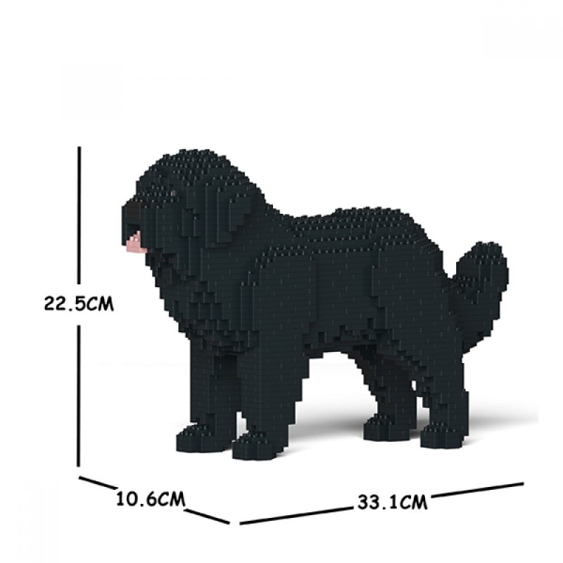 Black newfoundland dog