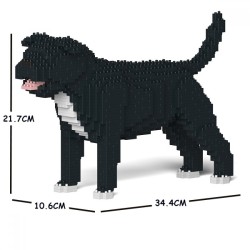 Black Staffordshire Bull Terrier dog