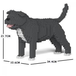 Gray Staffordshire Bull Terrier dog