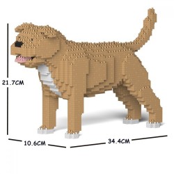 Beige Staffordshire Bull Terrier dog