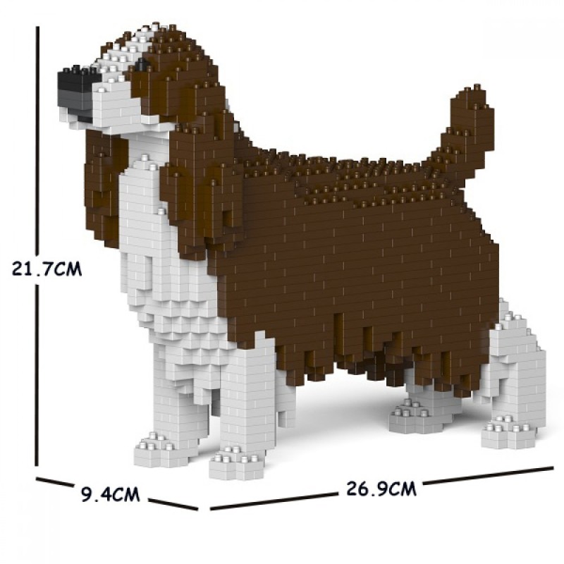 Dark brown English Springer dog