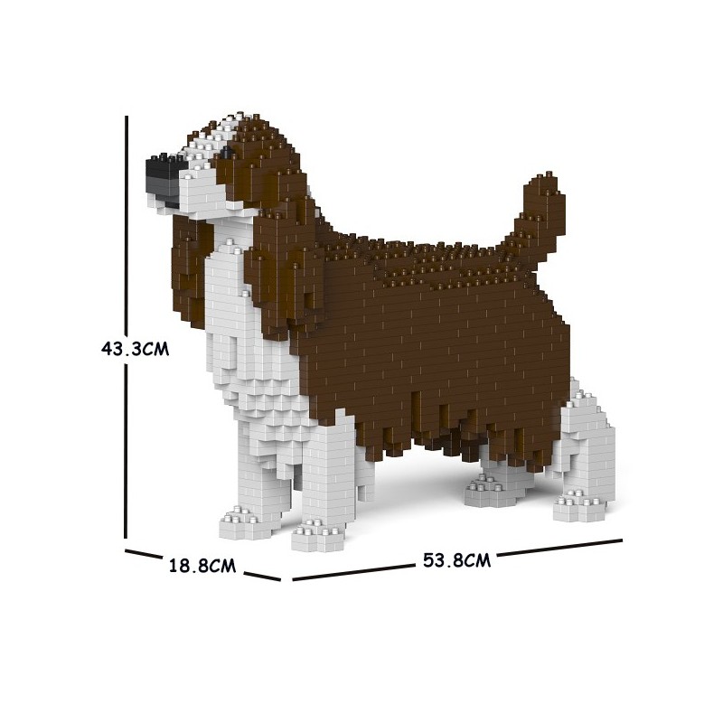 Chien Springer Anglais marron foncé