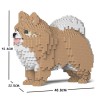 Chien Spitz Nain beige et blanc