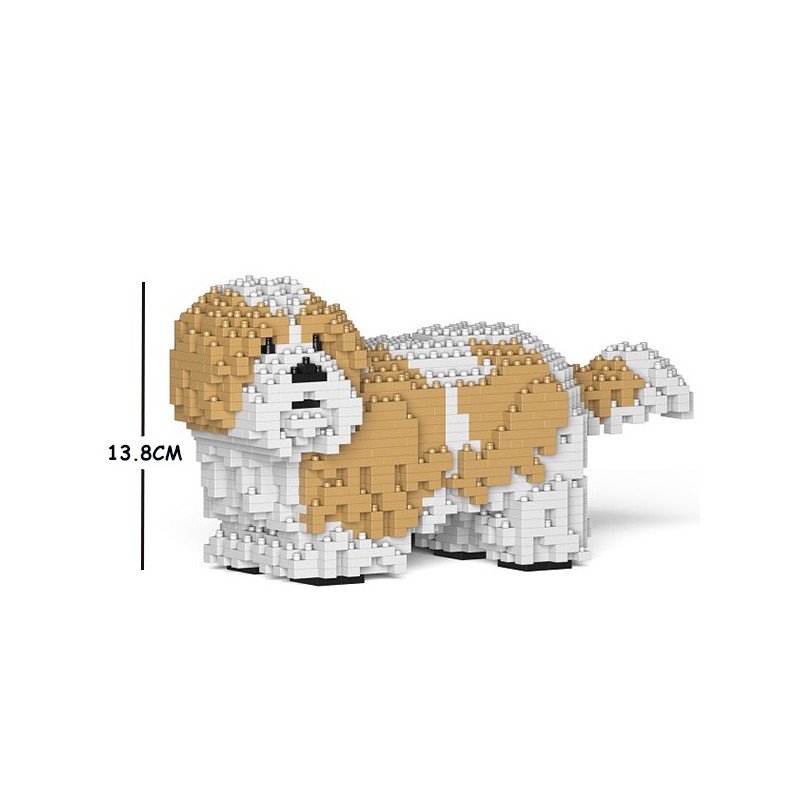 Shih Tzu dog beige spots