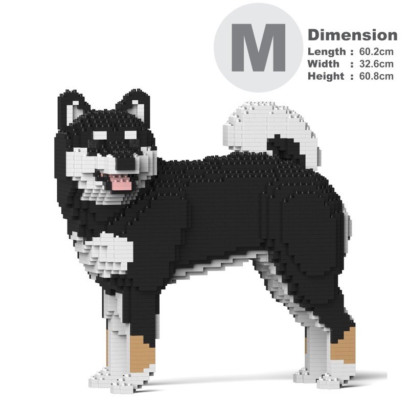Chien Shiba qui tourne la tête noir
