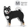 Chien Shiba qui tourne la tête noir