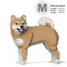 Chien Shiba qui tourne la tête marron