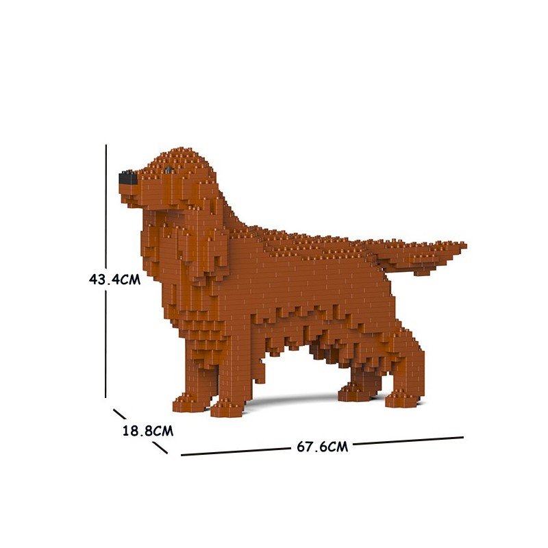 Irish Setter dog