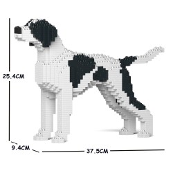 English Pointer dog black spots