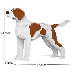 English Pointer dog with brown spots