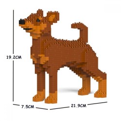 Brown Miniature Pinscher dog