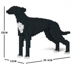 Black English Greyhound Dog