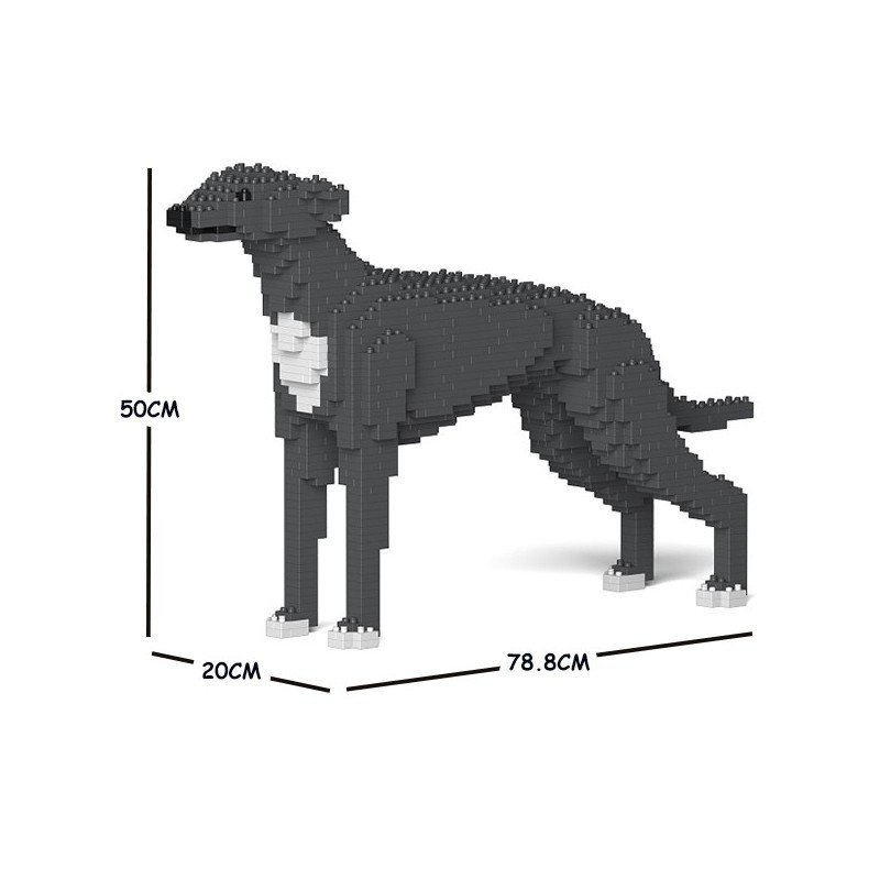 Chien Lévrier Anglais gris
