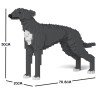 Chien Lévrier Anglais gris