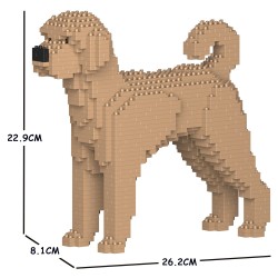 Beige Labradoodle dog