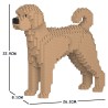 Chien Labradoodle beige