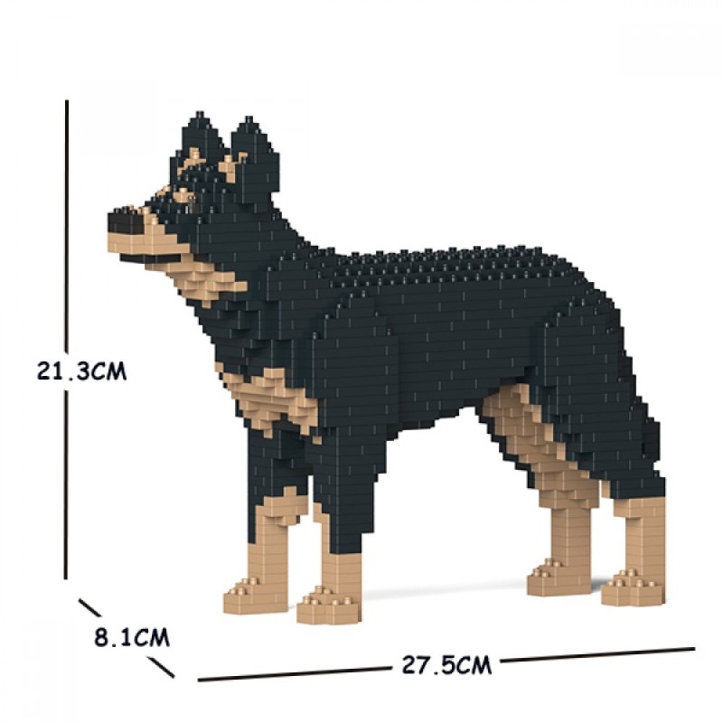 Australian Kelpie Dog