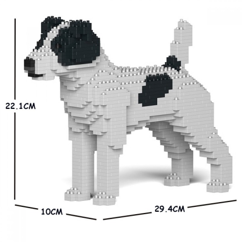 Dog Jack Russell Terrier black spots