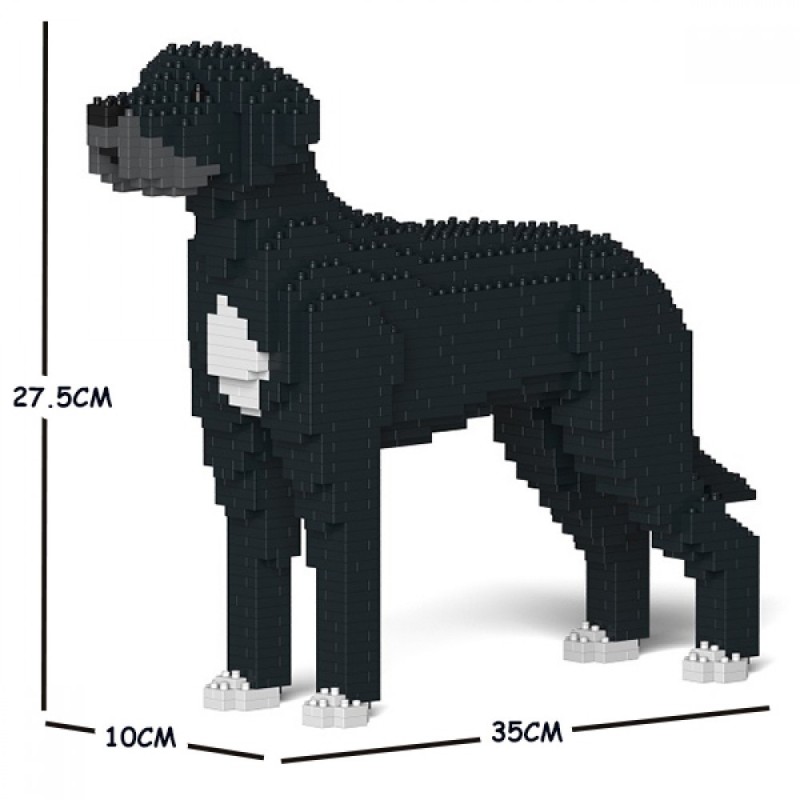 Chien Dogue Allemand noir