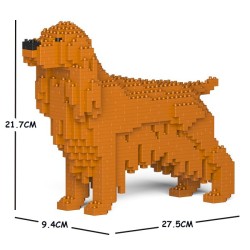 Ginger Cocker Spaniel dog
